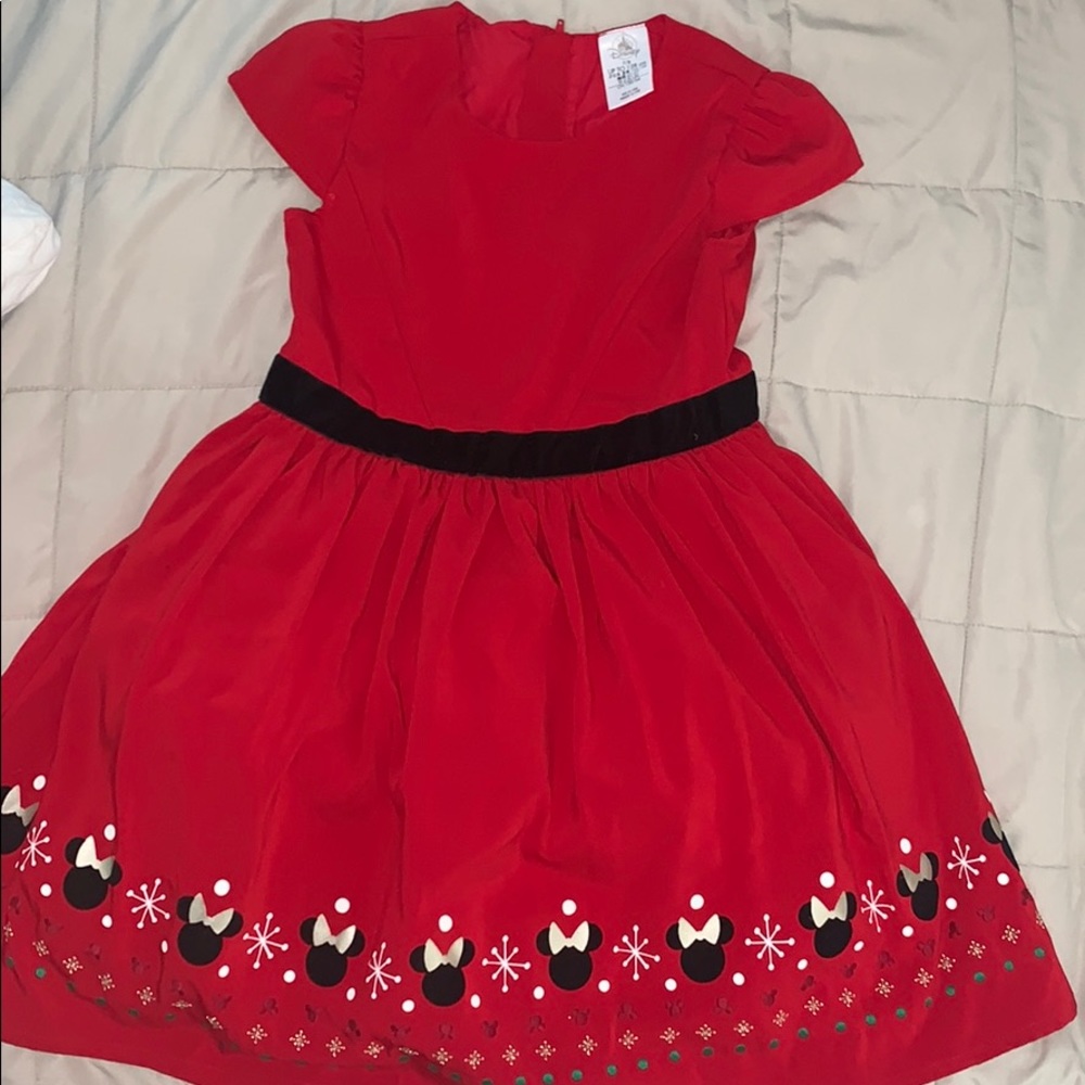 Never used Holiday Dress